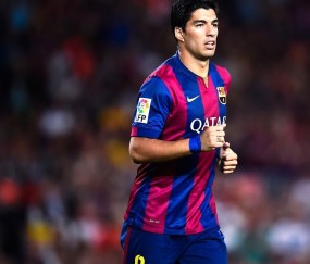 如何使用处理指南操作教程